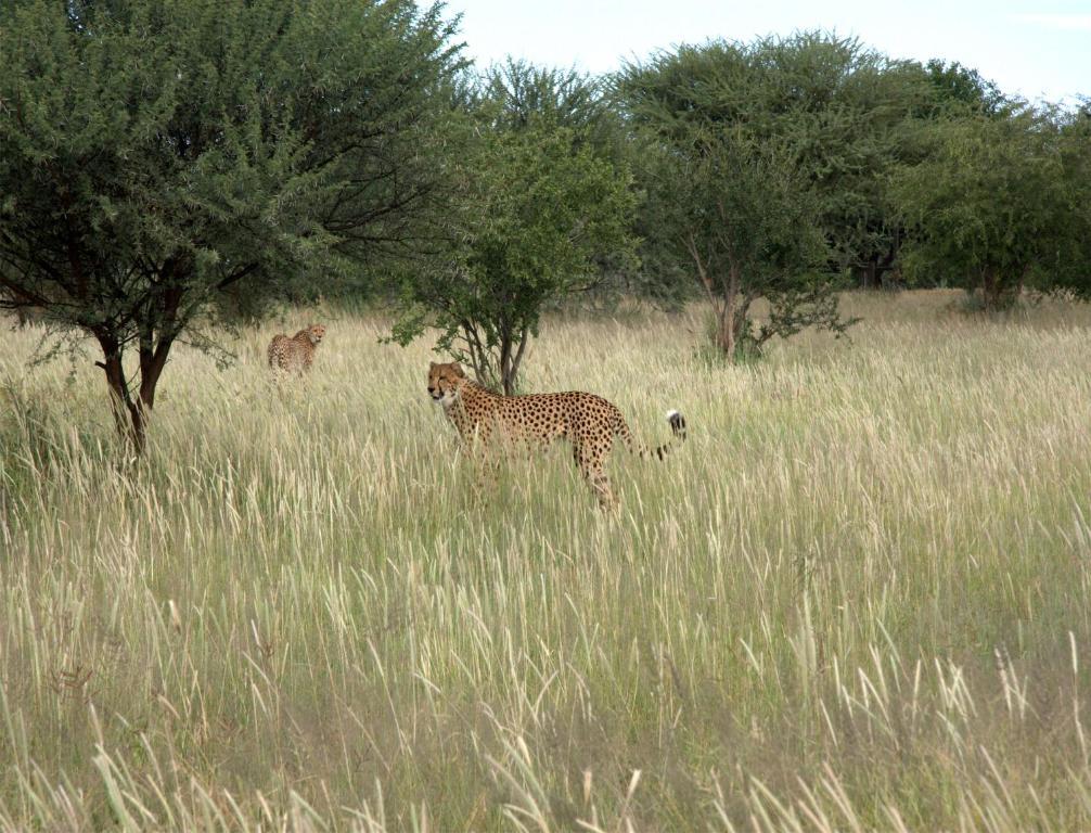 Mokuti Etosha Villa Namutoni Kültér fotó