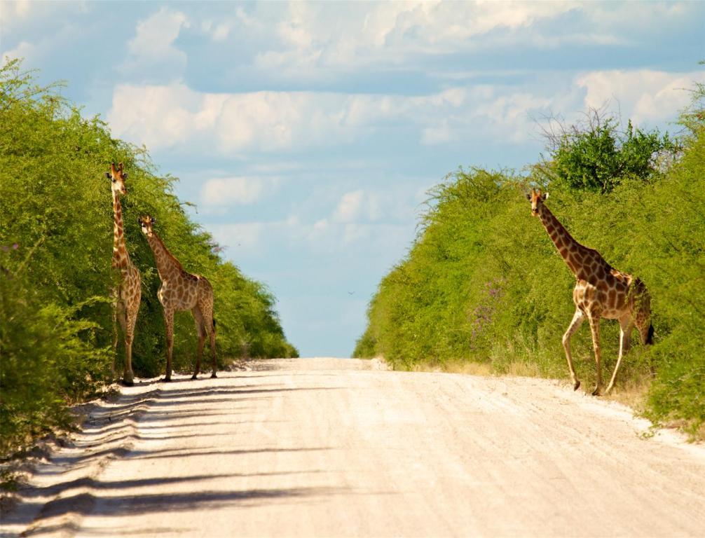 Mokuti Etosha Villa Namutoni Kültér fotó
