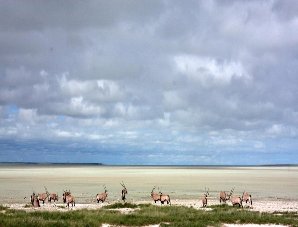 Mokuti Etosha Villa Namutoni Kültér fotó