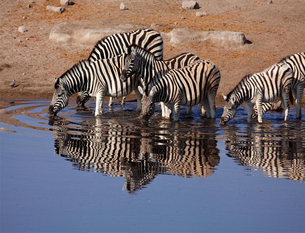 Mokuti Etosha Villa Namutoni Kültér fotó